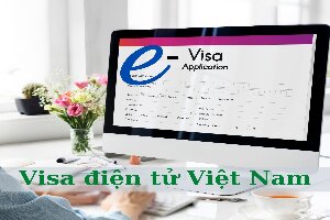 Correct the wrong information on the issued E-Visa